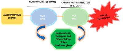 Anticholinergic effect of resveratrol with vitamin E on scopolamine-induced Alzheimer’s disease in rats: Mechanistic approach to prevent inflammation